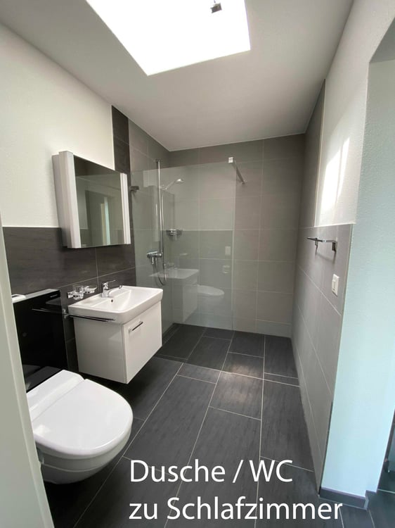 Seltene Gelegenheit: grosse, helle 1.5 Zimmer Attika Wohnung 15