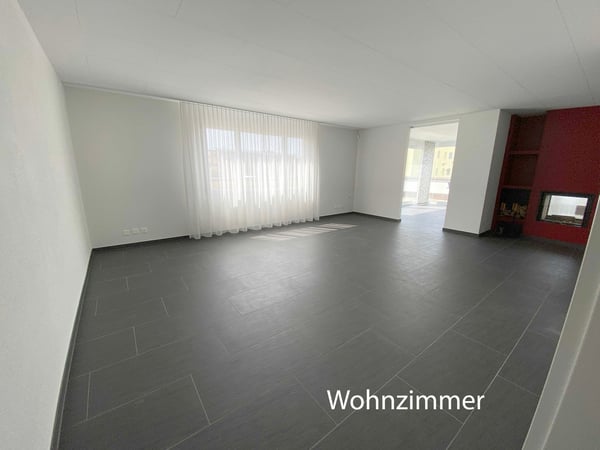 Seltene Gelegenheit: grosse, helle 1.5 Zimmer Attika Wohnung 9