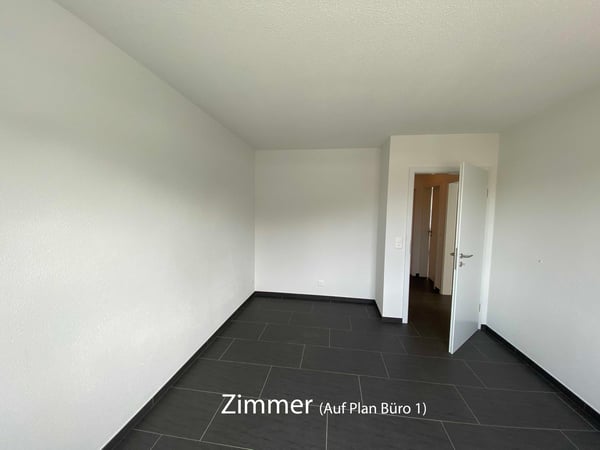 Seltene Gelegenheit: grosse, helle 1.5 Zimmer Attika Wohnung 11