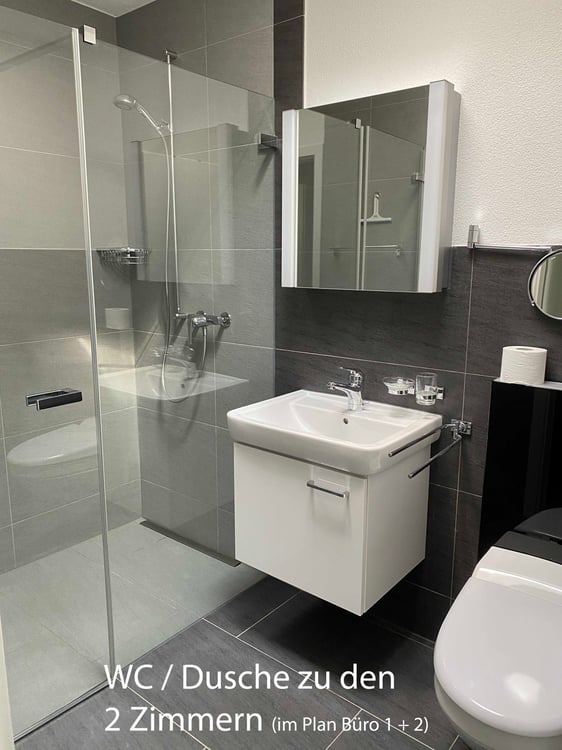 Seltene Gelegenheit: grosse, helle 1.5 Zimmer Attika Wohnung 13