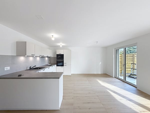 Maison mitoyenne neuve avec terrasse et jardin 3