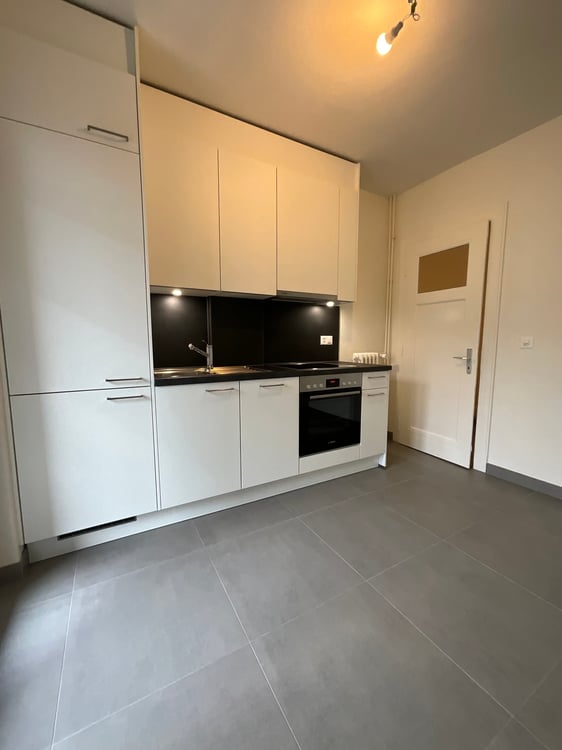 Appartement de 2,5 pièces avec balcon entièrement rénové