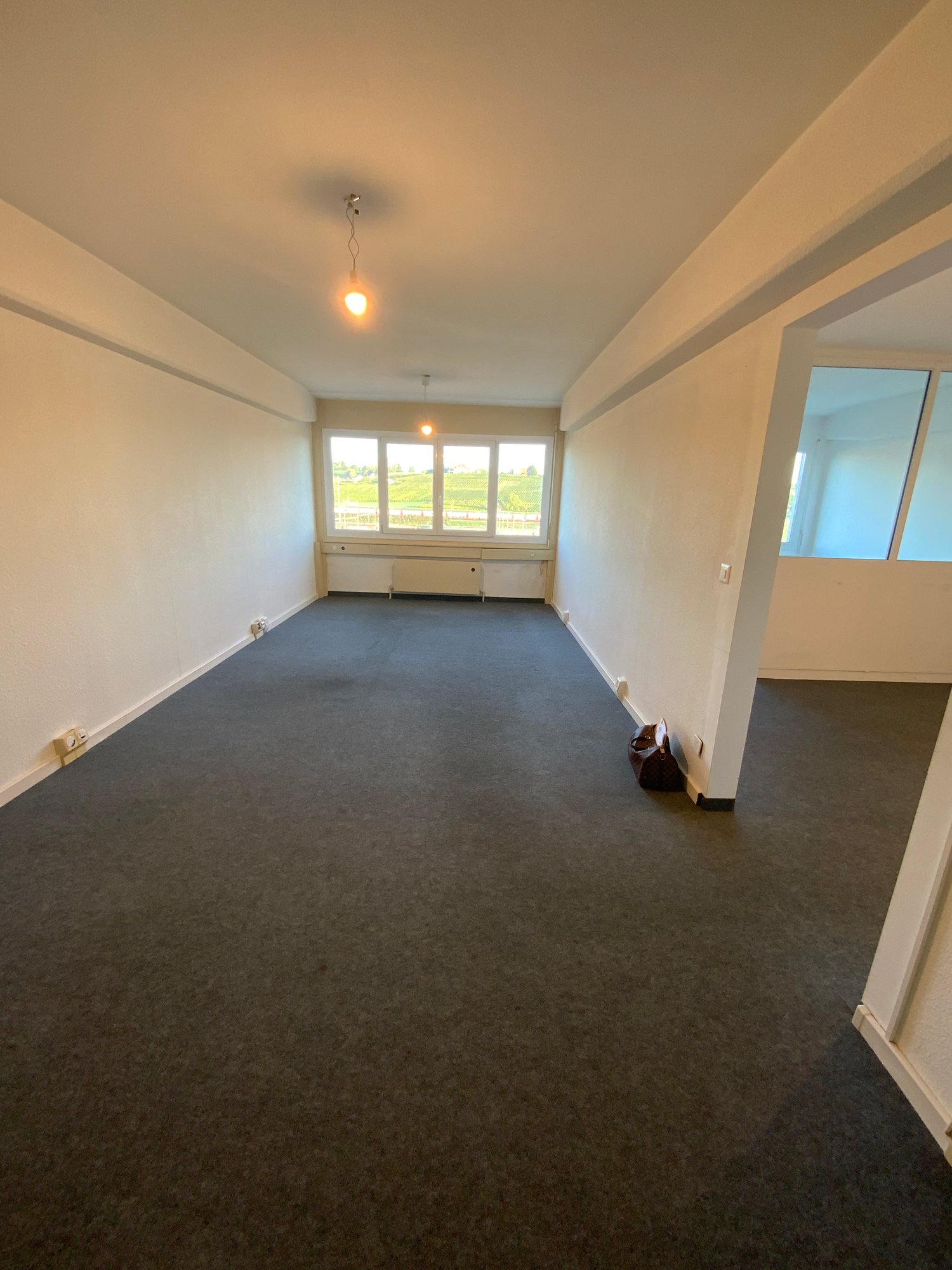 spacious room, carpeted floor, large windows, white walls, 2 wall sockets, ceiling light