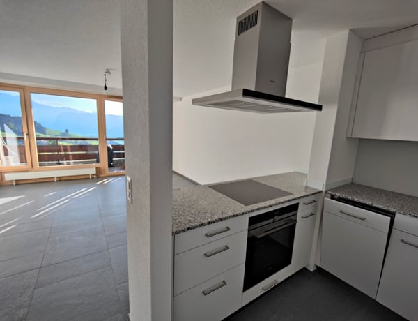 Moderne 2.5-Zimmerwohnung mit top Aussicht 5