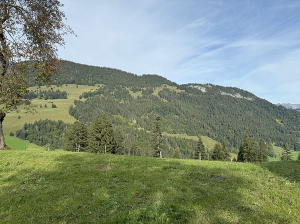 Bauland am Rinderberg in Zweisimmen für CHF 640.00 pro m2 2