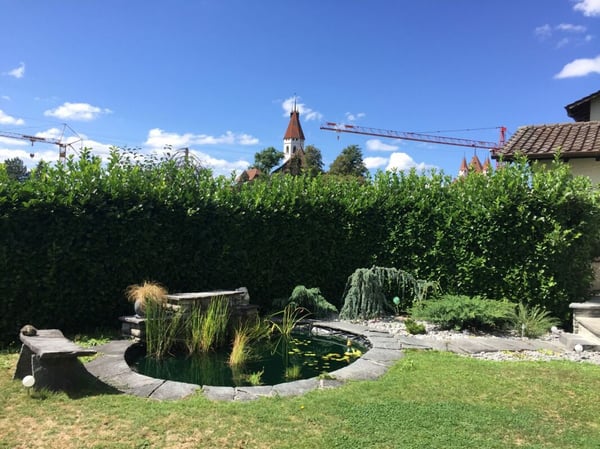 2-Zimmer-Einfamilienhaus nächst Zentrum von Thun 15