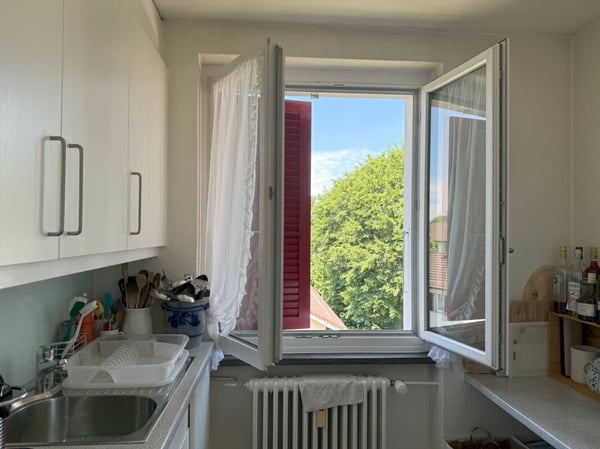 wohnen in Bern in einem sehr schönen, sonnigen und ruhigen Quartier mit viel Grünanteilen 9