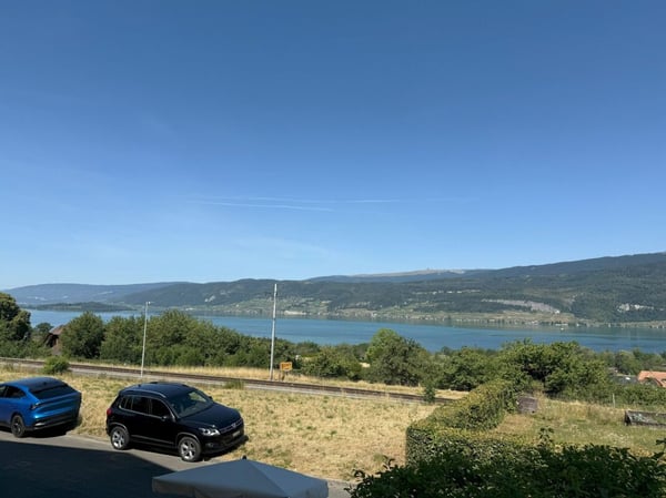 Sonne und Seesicht unweit von Biel 21