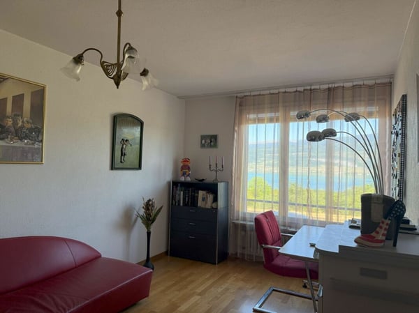 Sonne und Seesicht unweit von Biel 11