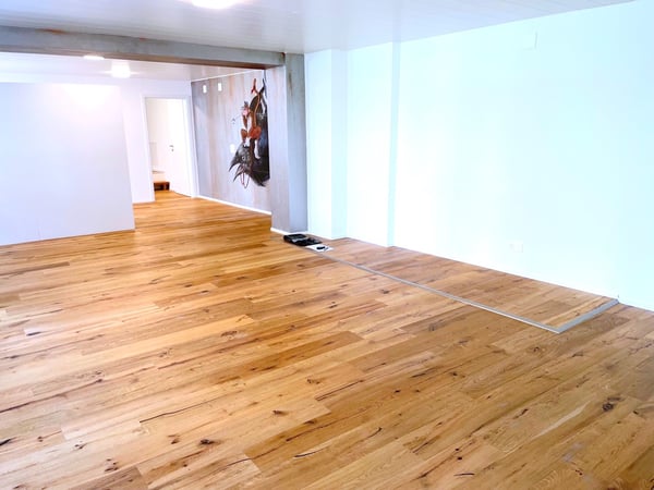 einzigartige Loftwohnung 1