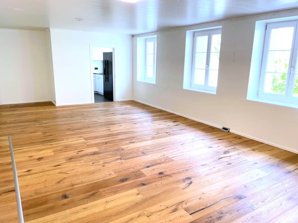 einzigartige Loftwohnung 2