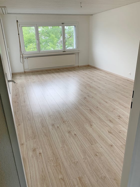 Helle, ruhige renovierte 1.5-Zimmer-Wohnung 2