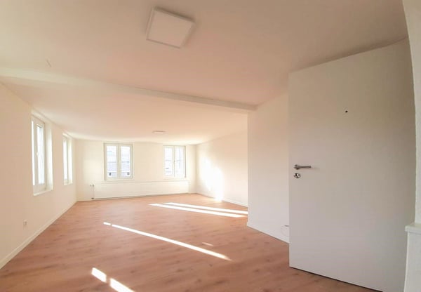 Grosszügige, moderne Wohnung 1