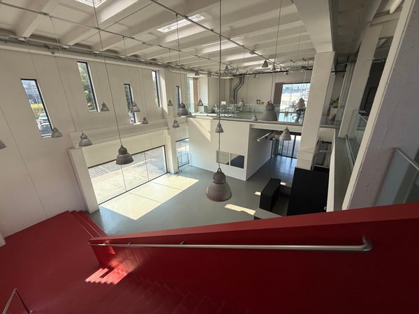 Mendrisio affittiamo ampio stabile commerciale/artigianale con ristorante 5