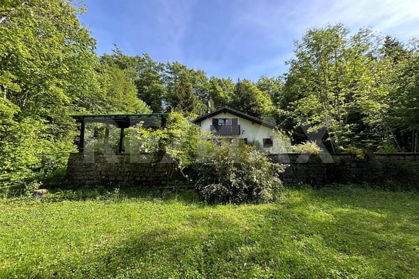 Charmantes Ferienhaus mit grosser Gartenanlage in idyllischer Naturlage 12