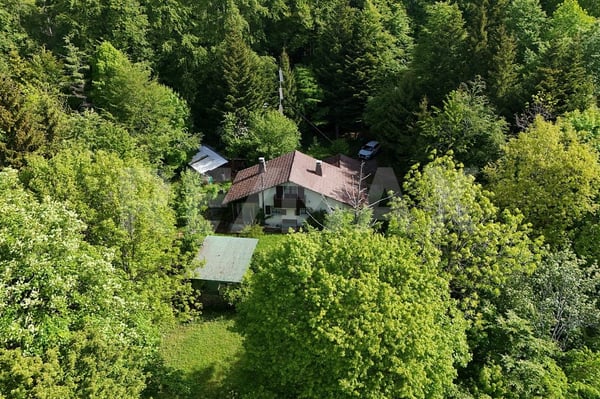 Charmantes Ferienhaus mit grosser Gartenanlage in idyllischer Naturlage 2