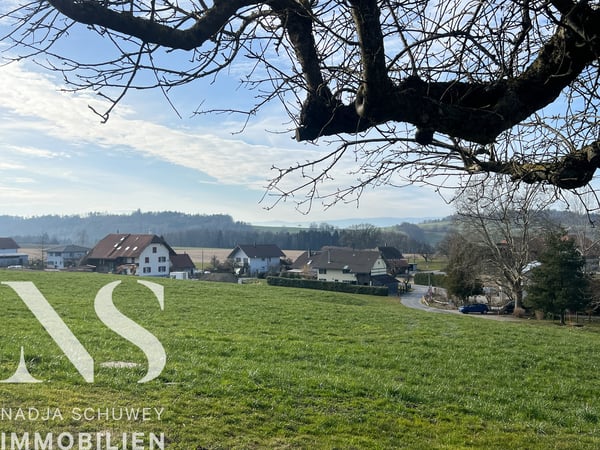 Leben im Grünen - Nur noch ein Haus verfügbar 13
