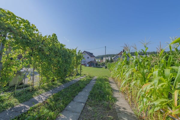 GROSSEN IMMOBILIEN - Bauparzelle mit bewilligtem Neubau in Orpund 10