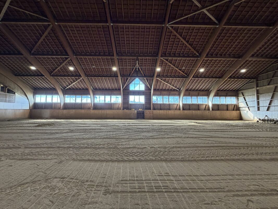 Inquilino ricercato! Reithalle Burgdorf incl. arena di equitazione