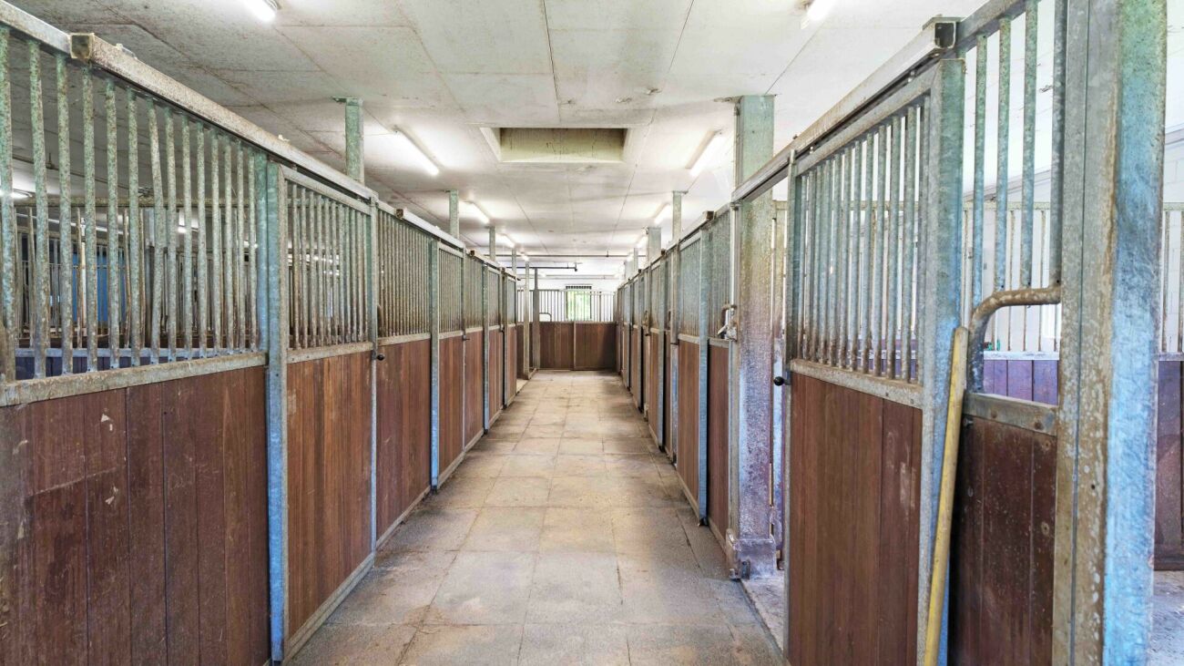Inquilino ricercato! Reithalle Burgdorf incl. arena di equitazione