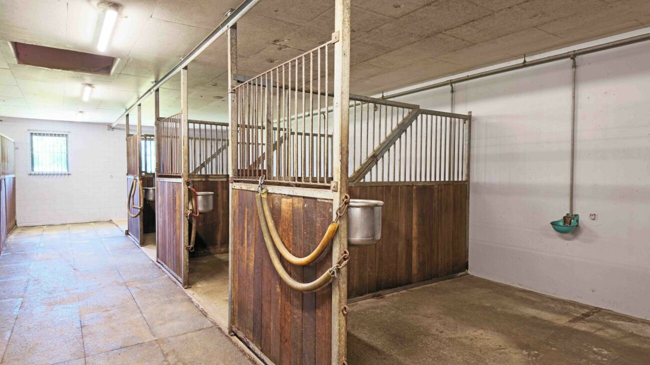Inquilino ricercato! Reithalle Burgdorf incl. arena di equitazione