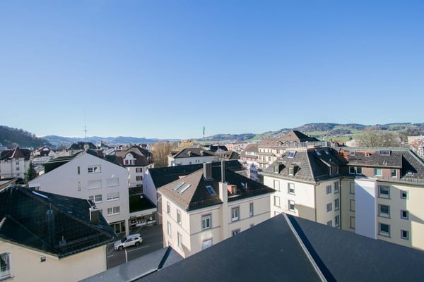 1.5 Zimmer-Wohnung mit Dachterrasse nahe Zentrum 5