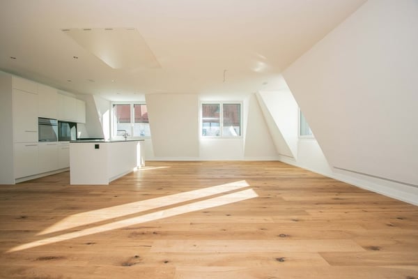 1.5 Zimmer-Wohnung mit Dachterrasse nahe Zentrum 4