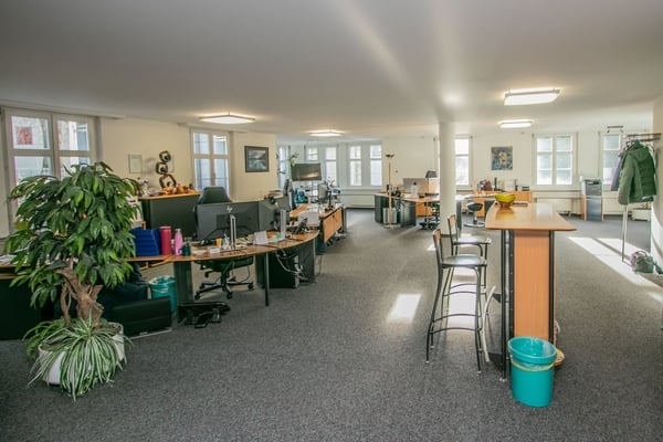 Attraktive Bürofläche an zentraler Lage in Arbon 2