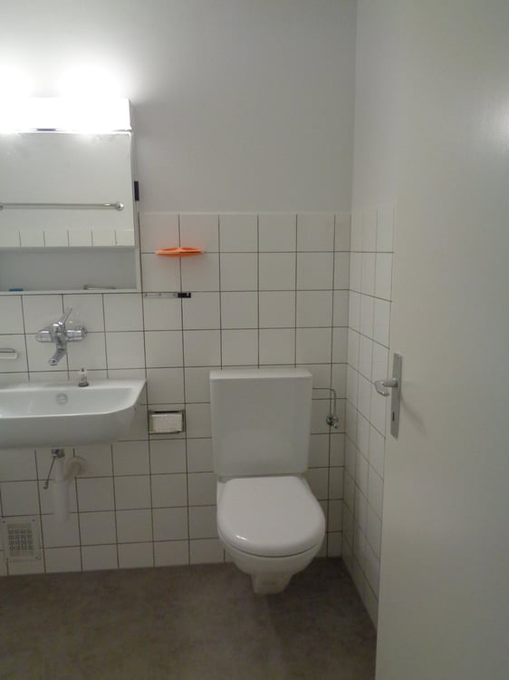 Grand appartement de 1.5 pièces proche du centre-ville. 13