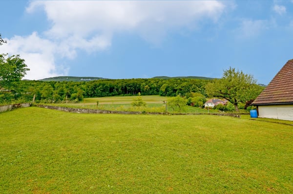 Zwischen Jurahöhen und Alpenpanorama. Wohnen mit Weitsicht in Niederbipp 7