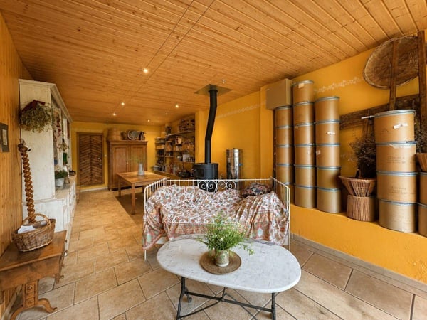 Magnifique ferme villageoise de 5.5 pièces, au fort potentiel 8