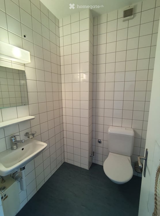 Vielseitige Gewerbefläche an guter Lage zu vermieten 4