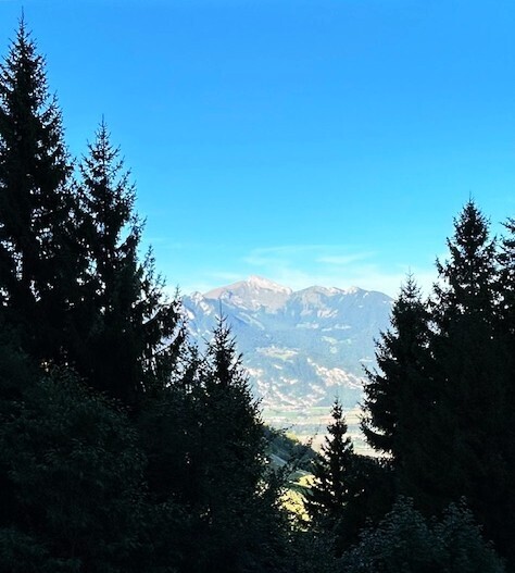 Charmant 1.5 pièces meublé à Torgon Calme, sans vis-à-vis 9