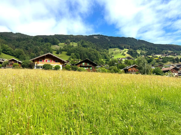 Terrain à bâtir de 972 m² à Val-d'Illiez 1