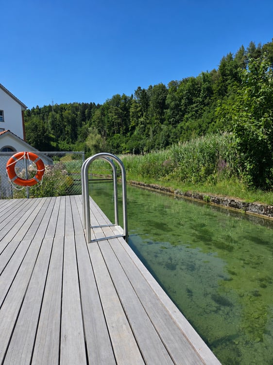 Villa Bühler | ZH 12