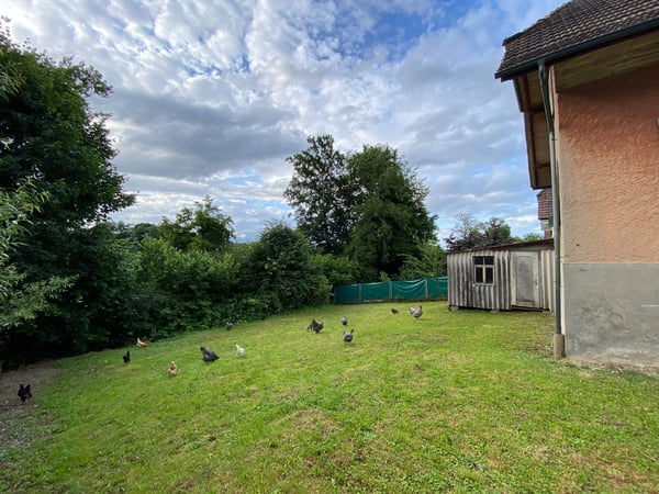 Wohnen am Wasser - Baulandgrundstück an idyllischer Lage direkt an der Aare 5