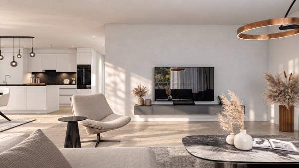 Moderne 3.5-Zimmer-Attika Wohnung im Neubau – Reinach AG 7