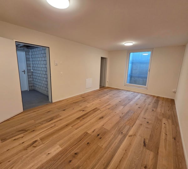 Modernes 2-Zimmer-Büro/Hobbyraum im Untergeschoss in Balsthal 2
