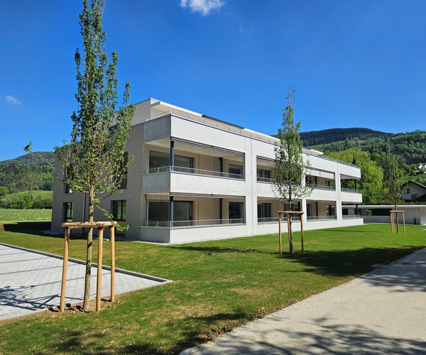 Modernes 2-Zimmer-Büro/Hobbyraum im Untergeschoss in Balsthal 1