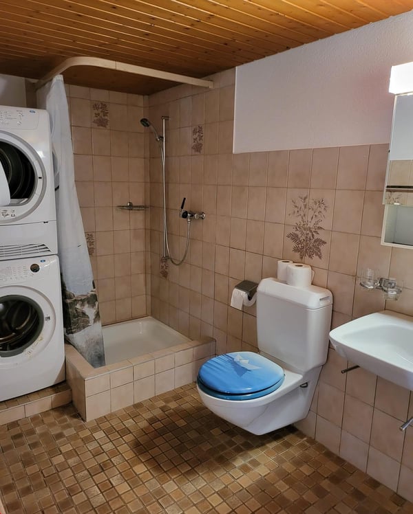 2.5 Zi EG Wohnung mit Sitzplatz zu vermieten 3