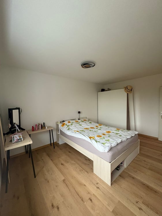 Charmante 1-Zimmer-Wohnung mit Balkon und Landschaftsblick in Flumenthal 9