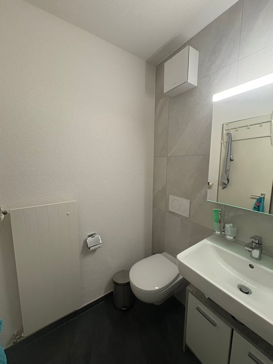 Charmante 1-Zimmer-Wohnung mit Balkon und Landschaftsblick in Flumenthal 8