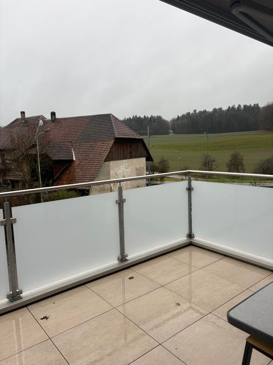 Charmante 1-Zimmer-Wohnung mit Balkon und Landschaftsblick in Flumenthal 3