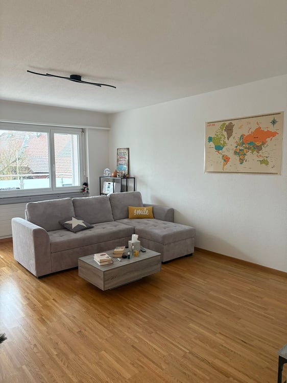 Charmante 1-Zimmer-Wohnung mit Balkon und Landschaftsblick in Flumenthal 1