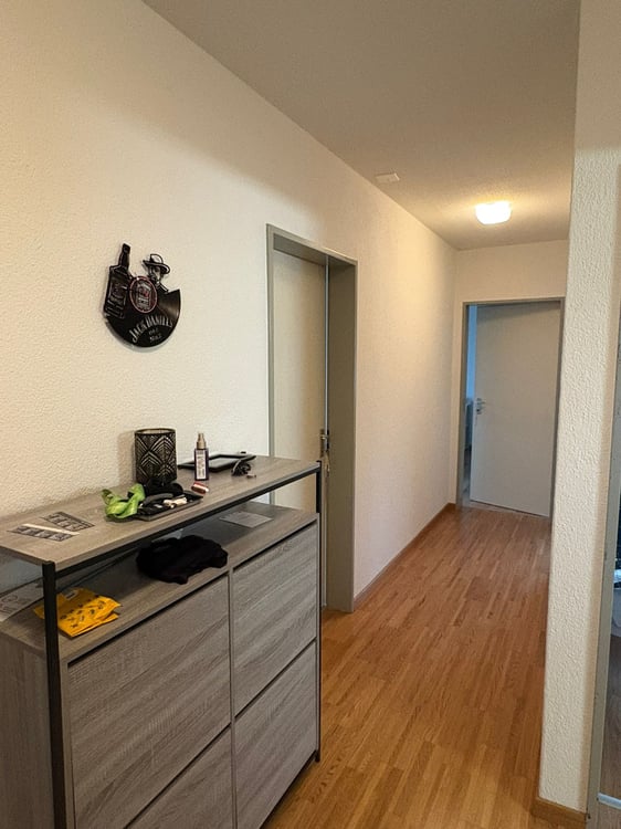 Charmante 1-Zimmer-Wohnung mit Balkon und Landschaftsblick in Flumenthal 6
