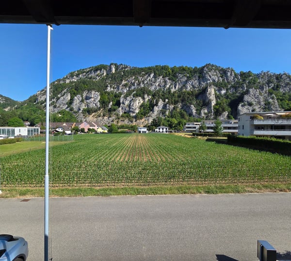 Haushälfte mit 5.5 Zi in ruhiger Lage in Balsthal zu verkaufen 19