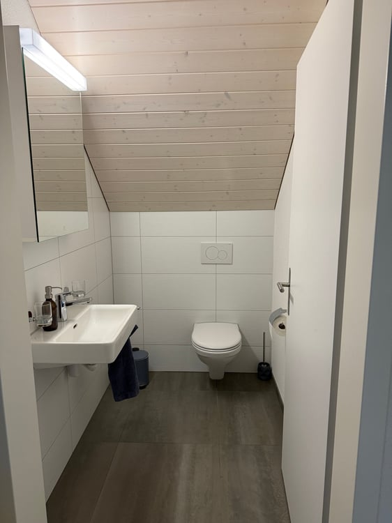 3.5 Zimmer Attikawohnung mit viel Charme 9