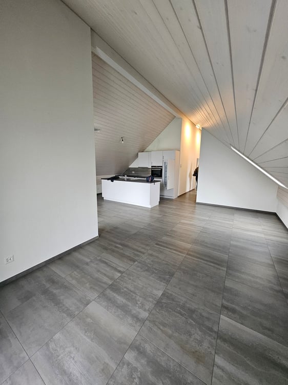 3.5 Zimmer Attikawohnung mit viel Charme 2