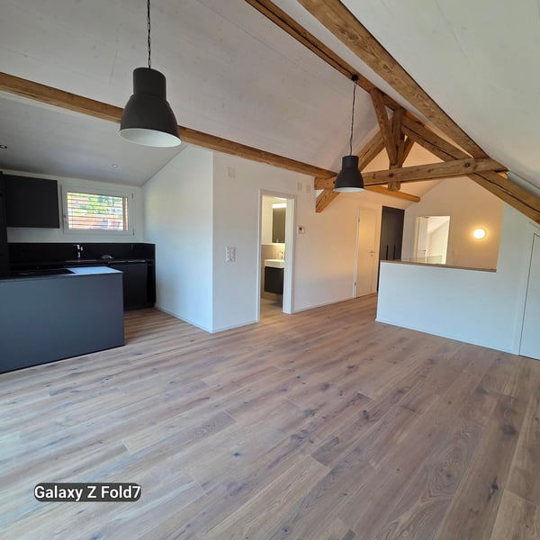 Charmante 2.5-Zimmer-Dachwohnung mit Bergblick in Oensingen 3