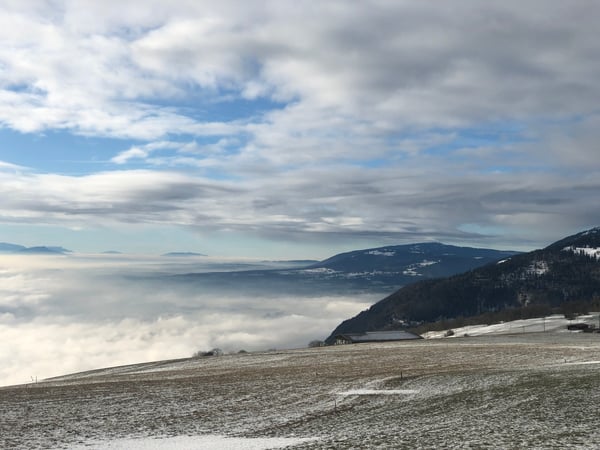 Belle maison villageoise composée de deux appartements à vendre 7